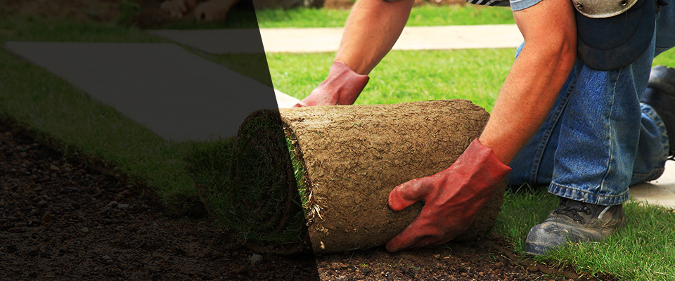 Pea Ridge Landscapers